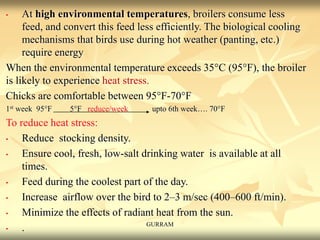 • At high environmental temperatures, broilers consume less
feed, and convert this feed less efficiently. The biological cooling
mechanisms that birds use during hot weather (panting, etc.)
require energy
When the environmental temperature exceeds 35°C (95°F), the broiler
is likely to experience heat stress.
Chicks are comfortable between 95°F-70°F
1st week 95°F 5°F reduce/week upto 6th week…. 70°F
To reduce heat stress:
• Reduce stocking density.
• Ensure cool, fresh, low-salt drinking water is available at all
times.
• Feed during the coolest part of the day.
• Increase airflow over the bird to 2–3 m/sec (400–600 ft/min).
• Minimize the effects of radiant heat from the sun.
• . GURRAM
 