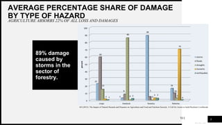 WOODGROVE
BANK
AVERAGE PERCENTAGE SHARE OF DAMAGE
BY TYPE OF HAZARD
AGRICULTURE ABSORBS 22% OF ALL LOSS AND DAMAGES
6
AO (2015): The Impact of Natural Hazards and Disasters on Agriculture and Food and Nutrition Security. A Call for Action to build Resilient Livelihoods
89% damage
caused by
storms in the
sector of
forestry.
 