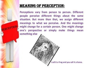 Case study on perception