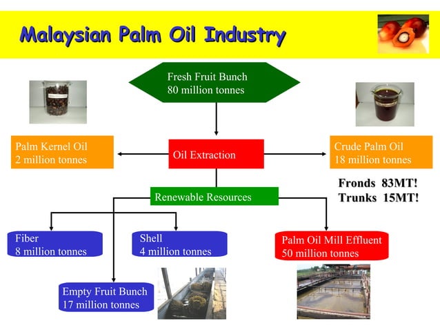 Case study on recycling of oil palm biomass waste and turning it into ...