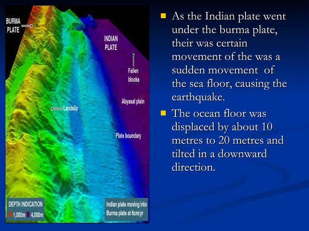 2025 tsunami case study