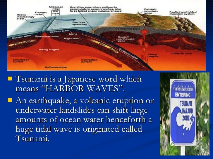 case study on the 26dec tsunami