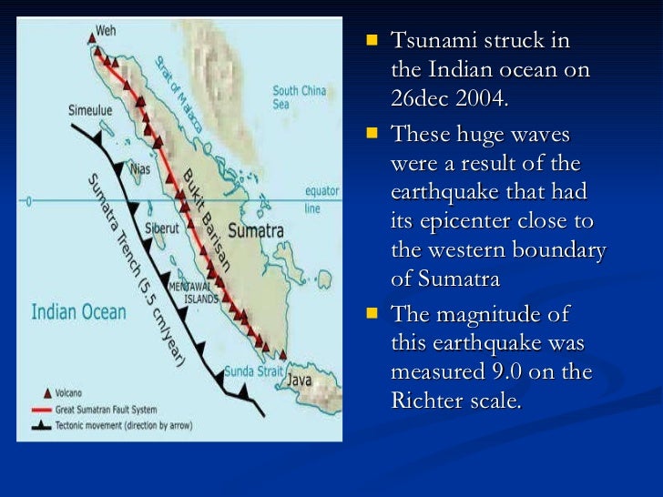 2004 indian tsunami case study