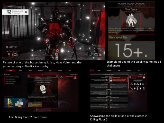 Case Study Video Game Project