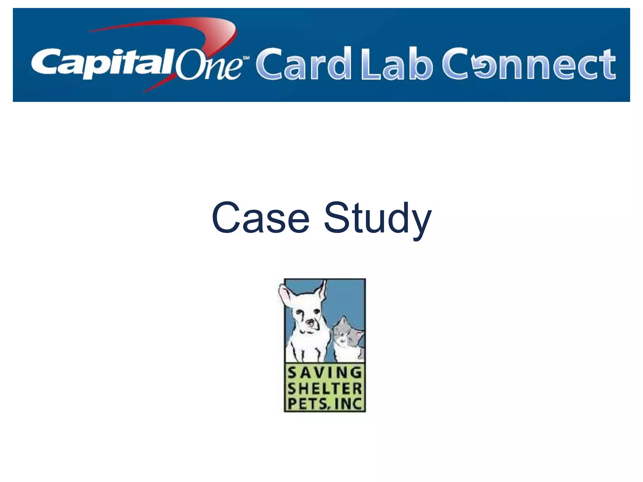 Capital One Card Lab Connect Saving Shelter Pets Case Study PPT