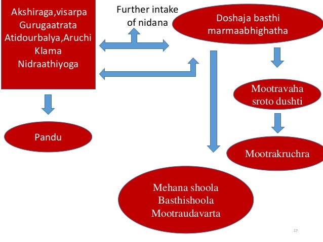 chronic kidney disease case study pdf