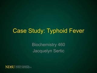 Case Study: Typhoid Fever
Biochemistry 460
Jacquelyn Sertic
 