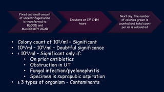 Case study of urinary tract infection | PPTX