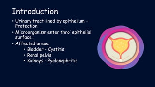 Case study of urinary tract infection | PPTX