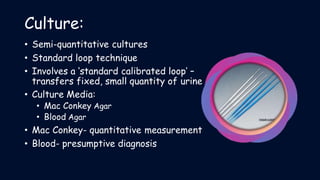urinary tract