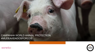 CAMPANHA WORLD ANIMAL PROTECTION

#MUDEAVIDADOSPORCOS
 