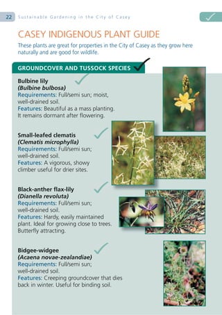 22   Sustainable Gardening in the City of Casey



     CASEY INDIGENOUS PLANT GUIDE
     These plants are great for properties in the City of Casey as they grow here
     naturally and are good for wildlife.

     GROUNDCOVER AND TUSSOCK SPECIES

     Bulbine lily
     (Bulbine bulbosa)
     Requirements: Full/semi sun; moist,
     well-drained soil.
     Features: Beautiful as a mass planting.
     It remains dormant after flowering.


     Small-leafed clematis
     (Clematis microphylla)
     Requirements: Full/semi sun;
     well-drained soil.
     Features: A vigorous, showy
     climber useful for drier sites.


     Black-anther flax-lily
     (Dianella revoluta)
     Requirements: Full/semi sun;
     well-drained soil.
     Features: Hardy, easily maintained
     plant. Ideal for growing close to trees.
     Butterfly attracting.


     Bidgee-widgee
     (Acaena novae-zealandiae)
     Requirements: Full/semi sun;
     well-drained soil.
     Features: Creeping groundcover that dies
     back in winter. Useful for binding soil.
 