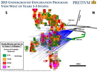28
2015 UNDERGROUND EXPLORATION PROGRAM:
VIEW WEST OF YEARS 1-3 STOPES
1320 Level
100m
N
1345 Level
1260 Level
S
(1) Source: Feasibility Study and Technical Report Update on the Brucejack Project, dated June 19, 2014
Grade Blocks (g/t Au) in
In Years 1-3 Stopes (1)
5-10
10-20
20-60
>60
Proven & Probable
Reserves
Drill Hole
 