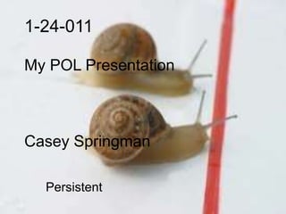 1-24-011My POL PresentationCasey Springman Persistent 