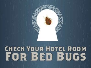 Check Your Hotel For Bed Bugs