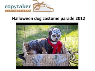 Halloween dog costume parade 2012
 