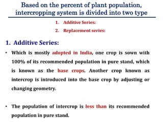 Cash crop based intercropping: A step towards doubling farm income | PPTX