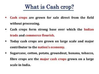 Cash crop based intercropping: A step towards doubling farm income | PPTX