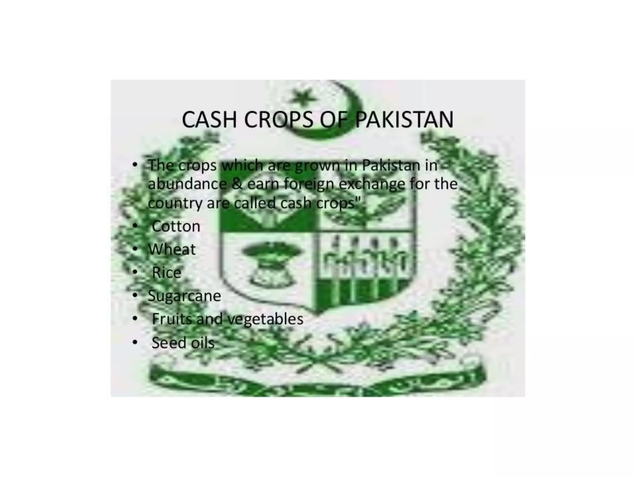 Cash crops of pakistan By Mr Allah Dad Khan Visiting Professor The ...