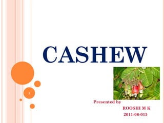 CASHEW
Presented by
ROOSHI M K
2011-06-015
1
 
