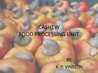 CASHEW 
FOOD PROCESSING UNIT 
BY 
K. P. VINEETH 
 