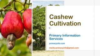 Cashew
Cultivation
Primary Information
Services
primaryinfo.com
mailto:primaryinfo@gmail.com
 