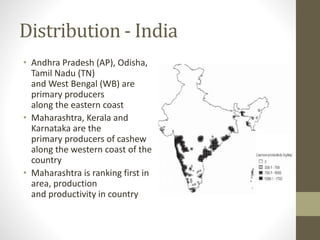 Distribution - India
• Andhra Pradesh (AP), Odisha,
Tamil Nadu (TN)
and West Bengal (WB) are
primary producers
along the eastern coast
• Maharashtra, Kerala and
Karnataka are the
primary producers of cashew
along the western coast of the
country
• Maharashtra is ranking first in
area, production
and productivity in country
 