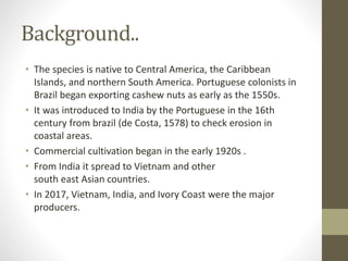 Background..
• The species is native to Central America, the Caribbean
Islands, and northern South America. Portuguese colonists in
Brazil began exporting cashew nuts as early as the 1550s.
• It was introduced to India by the Portuguese in the 16th
century from brazil (de Costa, 1578) to check erosion in
coastal areas.
• Commercial cultivation began in the early 1920s .
• From India it spread to Vietnam and other
south east Asian countries.
• In 2017, Vietnam, India, and Ivory Coast were the major
producers.
 