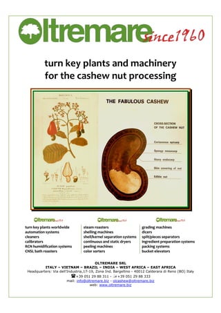 turn key plants and machinery 
for the cashew nut processing 
ttuurrnn kkeeyy ppllaannttss wwoorrllddwwiiddee sstteeaamm rrooaasstteerrss ggrraaddiinngg mmaacchhiinneess 
aauuttoommaattiioonn ssyysstteemmss sshheelllliinngg mmaacchhiinneess ddiicceerrss 
cclleeaanneerrss sshheellll//kkeerrnneell sseeppaarraattiioonn ssyysstteemmss sspplliitt//ppiieecceess sseeppaarraattoorrss 
ccaalliibbrraattoorrss ccoonnttiinnuuoouuss aanndd ssttaattiicc ddrryyeerrss iinnggrreeddiieenntt pprreeppaarraattiioonn ssyysstteemmss 
RRCCNN hhuummiiddiiffiiccaattiioonn ssyysstteemmss ppeeeelliinngg mmaacchhiinneess ppaacckkiinngg ssyysstteemmss 
CCNNSSLL bbaatthh rrooaasstteerrss ccoolloorr ssoorrtteerrss bbuucckkeett eelleevvaattoorrss 
OLTREMARE SRL 
ITALY – VIETNAM – BRAZIL – INDIA – WEST AFRICA – EAST AFRICA 
Headquarters: Via dell’Industria,17-19, Zona Ind. Bargellino - 40012 Calderara di Reno (BO) Italy 
+39 051 29 88 311 - +39 051 29 88 333 
mail: info@oltremare.biz - olcashew@oltremare.biz 
web: www.oltremare.biz 
 