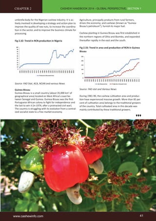 CASHEW HANDBOOK 2014 - GLOBAL PERSPECTIVE, SECTION 1 
CHAPTER 2 
umbrella body for the Nigerian cashew industry. It is ac-ti 
vely involved in developing a strategy and acti on plan to 
improve the quality of raw nuts, to increase the coordina-ti 
on in the sector, and to improve the business climate for 
processing. 
Fig 2.32: Trend in RCN producti on in Nigeria 
Source: FAO Stat, ACA, NCAN and various News 
Guinea Bissau 
Guinea-Bissau is a small country (about 35,000 km2 of 
geographical area) located on West Africa’s coast be-tween 
Senegal and Guinea. Guinea-Bissau was the fi rst 
Portuguese African colony to fi ght for independence and 
the last to win it (in 1974, aft er a protracted civil war). 
The country is struggling with its evoluti on from a central-ized 
socialist state to a free market economy. 
Agriculture, principally products from rural farmers, 
drives the economy; and cashews (known as “Guinea- 
Bissau’s petroleum”), furnish its major fuel. 
Cashew planti ng in Guinea Bissau was fi rst established in 
the northern regions of Ohio and Biombo, and expanded 
thereaft er rapidly in the east and the south. 
Fig 2.33: Trend in area and producti on of RCN in Guinea 
Bissau 
Source: FAO stat and Various News 
During 1981-90, the cashew culti vati on area and produc-ti 
on have experienced massive growth. More than 85 per 
cent of culti vati on area belongs to the traditi onal growers 
of the country. Total culti vated area in this decade was 
mainly contributed by these traditi onal growers. 
www.cashewinfo.com 41 
 