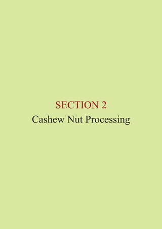 SECTION 2 
Cashew Nut Processing 
 