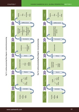 www.cashewinfo.com 61 
CASHEW HANDBOOK 2014 - GLOBAL PERSPECTIVE, SECTION 2 
Fig 7.1: cashew processing flow diagram- mechanical processing 
Fig 7.2: cashew processing flow diagram- manual processing 
CHAPTER 7 
 