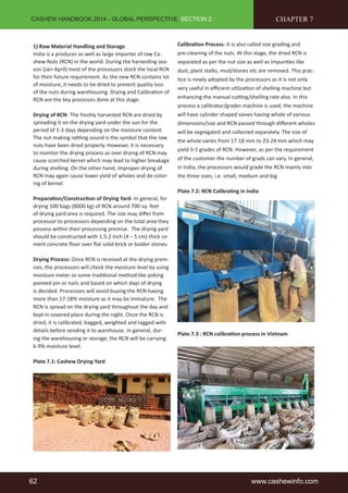 CASHEW HANDBOOK 2014 - GLOBAL PERSPECTIVE, SECTION 2 
1) Raw Material Handling and Storage 
India is a producer as well as large importer of raw Ca-shew 
Nuts (RCN) in the world. During the harvesting sea-son 
(Jan-April) most of the processors stock the local RCN 
for their future requirement. As the new RCN contains lot 
of moisture, it needs to be dried to prevent quality loss 
of the nuts during warehousing. Drying and Calibration of 
RCN are the key processes done at this stage. 
Drying of RCN- The freshly harvested RCN are dried by 
spreading it on the drying yard under the sun for the 
period of 1-3 days depending on the moisture content. 
The nut making rattling sound is the symbol that the raw 
nuts have been dried properly. However, it is necessary 
to monitor the drying process as over drying of RCN may 
cause scorched kernel which may lead to higher breakage 
during shelling. On the other hand, improper drying of 
RCN may again cause lower yield of wholes and de-color-ing 
of kernel. 
Preparation/Construction of Drying Yard- In general, for 
drying 100 bags (8000 kg) of RCN around 700 sq. feet 
of drying yard area is required. The size may differ from 
processor to processors depending on the total area they 
possess within their processing premise. The drying yard 
should be constructed with 1.5-2 inch (4 – 5 cm) thick ce-ment 
concrete floor over flat solid brick or bolder stones. 
Drying Process: Once RCN is received at the drying prem-ises, 
the processors will check the moisture level by using 
moisture meter or some traditional method like poking 
pointed pin or nails and based on which days of drying 
is decided. Processors will avoid buying the RCN having 
more than 17-18% moisture as it may be immature. The 
RCN is spread on the drying yard throughout the day and 
kept in covered place during the night. Once the RCN is 
dried, it is calibrated, bagged, weighted and tagged with 
details before sending it to warehouse. In general, dur-ing 
the warehousing or storage, the RCN will be carrying 
6-9% moisture level. 
Plate 7.1: Cashew Drying Yard 
CHAPTER 7 
Calibration Process: It is also called size grading and 
pre-cleaning of the nuts. At this stage, the dried RCN is 
separated as per the nut size as well as impurities like 
dust, plant stalks, mud/stones etc are removed. This prac-tice 
is newly adopted by the processors as it is not only 
very useful in efficient utilization of shelling machine but 
enhancing the manual cutting/shelling rate also. In this 
process a calibrator/grader machine is used, the machine 
will have cylinder shaped sieves having whole of various 
dimensions/size and RCN passed through different wholes 
will be segregated and collected separately. The size of 
the whole varies from 17-18 mm to 23-24 mm which may 
yield 3-5 grades of RCN. However, as per the requirement 
of the customer the number of grads can vary. In general, 
in India, the processors would grade the RCN mainly into 
the three sizes, i.e. small, medium and big. 
Plate 7.2: RCN Calibrating in India 
Plate 7.3 : RCN calibration process in Vietnam 
62 www.cashewinfo.com 
 