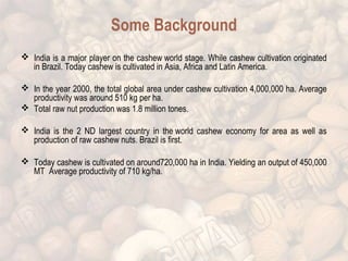 Some Background 
 India is a major player on the cashew world stage. While cashew cultivation originated 
in Brazil. Today cashew is cultivated in Asia, Africa and Latin America. 
 In the year 2000, the total global area under cashew cultivation 4,000,000 ha. Average 
productivity was around 510 kg per ha. 
 Total raw nut production was 1.8 million tones. 
 India is the 2 ND largest country in the world cashew economy for area as well as 
production of raw cashew nuts. Brazil is first. 
 Today cashew is cultivated on around720,000 ha in India. Yielding an output of 450,000 
MT Average productivity of 710 kg/ha. 
 