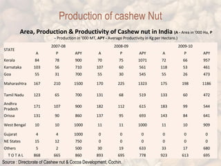 Production of cashew Nut 
Area, Production & Productivity of Cashew nut in India (A - Area in '000 Ha, P 
- Production in '000 MT, APY - Average Productivity in Kg per Hectare.) 
STATE 
2007-08 2008-09 2009-10 
A P APY A P APY A P APY 
Kerala 84 78 900 70 75 1071 72 66 957 
Karnataka 103 56 710 107 60 561 118 53 461 
Goa 55 31 700 55 30 545 55 26 473 
Maharashtra 167 210 1500 170 225 1323 175 198 1186 
Tamil Nadu 123 65 700 131 68 519 133 60 472 
Andhra 
171 107 900 182 112 615 183 99 544 
Pradesh 
Orissa 131 90 860 137 95 693 143 84 641 
West Bengal 10 10 1000 11 11 1000 11 10 909 
Gujarat 4 4 1000 0 0 0 0 0 0 
NE States 15 12 750 0 0 0 0 0 0 
Others 5 2 500 30 19 633 33 17 680 
T O T A L 868 665 860 893 695 778 923 613 695 
Source : Directorate of Cashew nut & Cocoa Development, Cochin. 
 