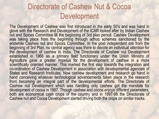 Directorate of Cashew Nut & Cocoa 
Development 
The Development of Cashew was first introduced in the early 50’s and was hand in 
glove with the Research and Development of the ICAR looked after by Indian Cashew 
nut and Spices Committee till the beginning of 3rd plan period. Cashew Development 
was taking place from the beginning through adhoc schemes sanctioned by the 
erstwhile Cashew nut and Spices Committee. In the post independent era from the 
beginning of 3rd Plan, no central agency was there to devote an individual attention for 
the development of cashew in India. The Directorate of Cashew nut Development 
established in 1966 as a primary field functionary under the Union Ministry of 
Agriculture gave a greater impetus for the development of cashew in a more 
scientifically oriented manner. This marked the first step towards the integration and 
co-ordination of Cashew Development in association with developmental agencies of 
States and Research Institutes. Now cashew development and research go hand in 
hand conceiving whatever technological advancements taken place in the research 
front becoming an integral part of the developmental efforts. The Directorate of 
Cashew nut Development which was handling only cashew got the mandate for 
development of cocoa in 1997. Though cashew and cocoa enjoys different parameters, 
both are economical cash crops of the country and in 1997-98 the Directorate of 
Cashew nut and Cocoa Development started driving both the crops on similar tracks. 
 