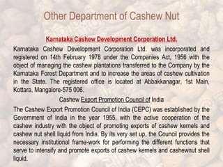Other Department of Cashew Nut 
Karnataka Cashew Development Corporation Ltd. 
Karnataka Cashew Development Corporation Ltd. was incorporated and 
registered on 14th February 1978 under the Companies Act, 1956 with the 
object of managing the cashew plantations transferred to the Company by the 
Karnataka Forest Department and to increase the areas of cashew cultivation 
in the State. The registered office is located at Abbakkanagar, 1st Main, 
Kottara, Mangalore-575 006. 
Cashew Export Promotion Council of India 
The Cashew Export Promotion Council of India (CEPC) was established by the 
Government of India in the year 1955, with the active cooperation of the 
cashew industry with the object of promoting exports of cashew kernels and 
cashew nut shell liquid from India. By its very set up, the Council provides the 
necessary institutional frame-work for performing the different functions that 
serve to intensify and promote exports of cashew kernels and cashewnut shell 
liquid. 
 