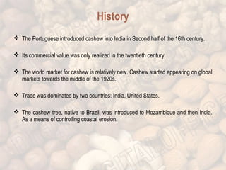 History 
 The Portuguese introduced cashew into India in Second half of the 16th century. 
 Its commercial value was only realized in the twentieth century. 
 The world market for cashew is relatively new. Cashew started appearing on global 
markets towards the middle of the 1920s. 
 Trade was dominated by two countries: India, United States. 
 The cashew tree, native to Brazil, was introduced to Mozambique and then India. 
As a means of controlling coastal erosion. 
 