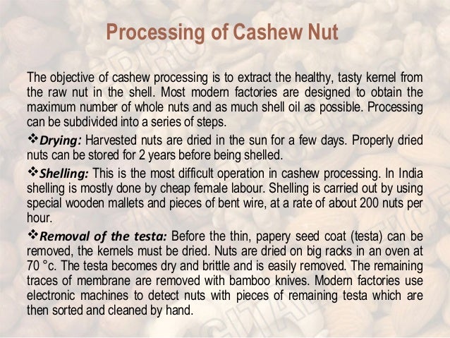 cashew nut advantages and disadvantages cashew nut advantages and disadvantages