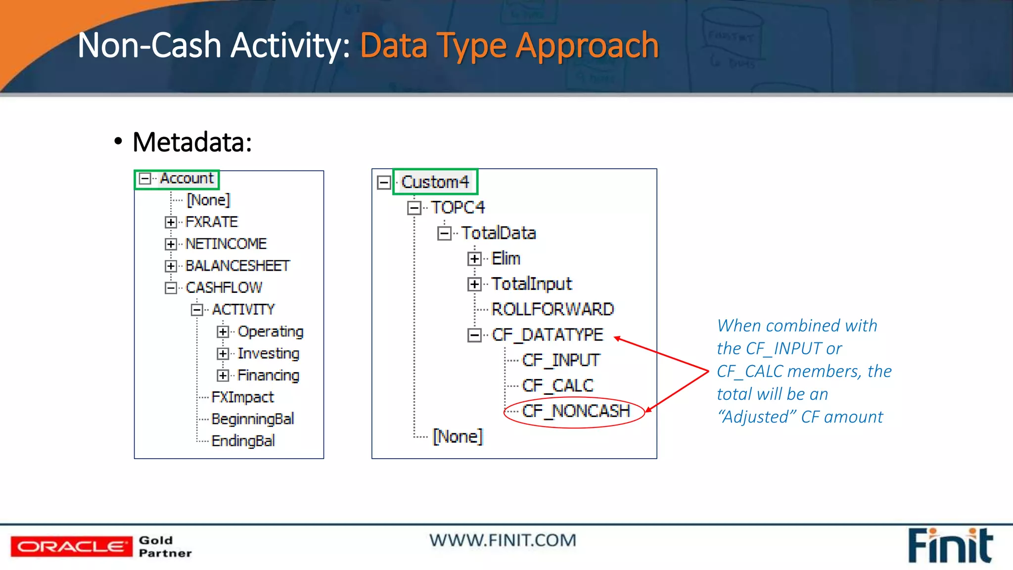 Non-Cash Activity: Data Type Approach
• Metadata:
When combined with
the CF_INPUT or
CF_CALC members, the
total will be an
“Adjusted” CF amount
 