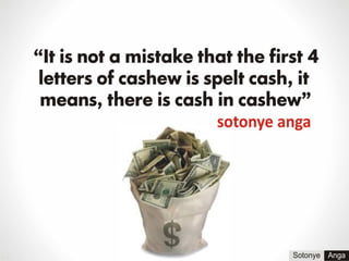 Cash in cashew by sotonye anga
