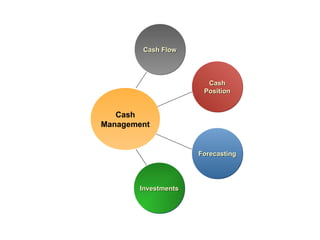 Cash Flow
        Cash Flow



                       Cash
                       Cash
                      Position
                      Position


   Cash
Management


                     Forecasting
                     Forecasting




       Investments
       Investments
 