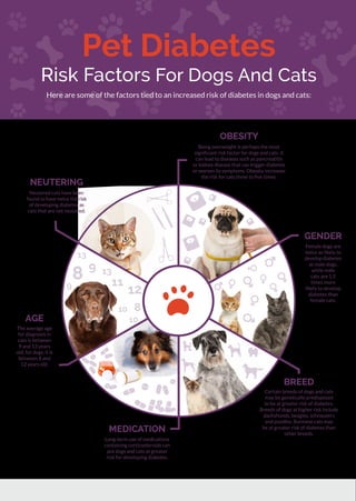 OBESITY
AGE
GENDER
The average age
for diagnosis in
cats is between
9 and 13 years
old; for dogs, it is
between 8 and
12 years old.
Neutered cats have been
found to have twice the risk
of developing diabetes as
cats that are not neutered.
Female dogs are
twice as likely to
develop diabetes
as male dogs,
while male
cats are 1.5
times more
likely to develop
diabetes than
female cats.
Certain breeds of dogs and cats
may be genetically predisposed
to be at greater risk of diabetes.
Breeds of dogs at higher risk include
dachshunds, beagles, schnauzers
and poodles. Burmese cats may
be at greater risk of diabetes than
other breeds.
Long-term use of medications
containing corticosteroids can
put dogs and cats at greater
risk for developing diabetes.
Being overweight is perhaps the most
significant risk factor for dogs and cats. It
can lead to diseases such as pancreatitis
or kidney disease that can trigger diabetes
or worsen its symptoms. Obesity increases
the risk for cats three to five times.
Here are some of the factors tied to an increased risk of diabetes in dogs and cats:
Pet Diabetes
Risk Factors For Dogs And Cats
NEUTERING
BREED
MEDICATION
10
8 13
13
9
11
12
8
9
10
10
 