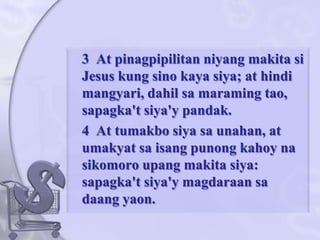 	3  At pinagpipilitanniyangmakitasi Jesus kung sinokayasiya; at hindimangyari, dahilsamaramingtao, sapagka'tsiya'ypandak. 	4  At tumakbosiyasaunahan, at umakyatsaisangpunongkahoynasikomoroupangmakitasiya: sapagka'tsiya'ymagdaraansadaangyaon. 