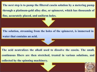 The solution, streaming from the holes of the spinneret, is immersed in
water that contains an acid.
The next step is to pump the filtered casein solution by a metering pump
through a platinum-gold alloy disc, or spinneret, which has thousands of
fine, accurately placed, and uniform holes.
The acid neutralizes the alkali used to dissolve the casein. The small,
continuous fibers are then stretched, treated in various solutions, and
collected by the spinning machinery.
 