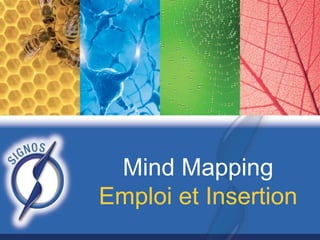 Mind Mapping
Emploi et Insertion

 