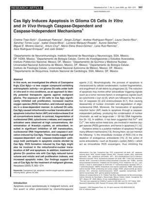 RESEARCH ARTICLE                                                                                     Neoplasia . Vol. 7, No. 6, June 2005, pp. 563 – 574               563
                                                                                                     www.neoplasia.com




 Cas IIgly Induces Apoptosis in Glioma C6 Cells In Vitro
 and In Vivo through Caspase-Dependent and
 Caspase-Independent Mechanisms1
 Cristina Trejo-Solıs *, Guadalupe Palencia *, Sergio Zuniga *, Andrea Rodrıguez-Ropon y, Laura Osorio-Rico *,
                   ´                                   ´˜                  ´
 Sanchez Torres Luvia y, Isabel Gracia-Mora z, Lucrecia Marquez-Rosado y, Aurora Sanchez *,
                                                                                    ´
 Miguel E. Moreno-Garcıa y, Arturo Cruz §, Marıa Elena Bravo-Gomez z, Lena Ruiz-Ramırez z,
                          ´                     ´                 ´                   ´
 Sara Rodrıguez-Enriquez b and Julio Sotelo *
            ´

                                      ´                              ´             ´
 *Departamento de Neuroinmunologıa, Instituto Nacional de Neurologıa y Neurocirugıa, SSA, Mexico,
 DF 14269, Mexico; y Departamento de Biologıa Celular, Centro de Investigaciones y Estudios Avanzados,
                                               ´
 Instituto Politecnico Nacional, Mexico, DF, Mexico; z Departamento de Quımica y Medicina Nuclear,
                ´                                                        ´
 Universidad Nacional Autonoma de Mexico, Mexico, DF, Mexico; § Departamento de Biologıa Celular,
                            ´            ´                                                ´
                      ´                                   ´          ´
 Instituto de Fisiologıa Celular, Universidad Nacional Autonoma de Mexico, Mexico, DF, Mexico;
 b
                           ´                                   ´         ´
   Departamento de Bioquımica, Instituto Nacional de Cardiologıa, SSA, Mexico, DF, Mexico


 Abstract
 In this work, we investigated the effects of Casiopeina                       agents [1,2]. Morphologically, the process of apoptosis is
 II-gly (Cas IIgly)—a new copper compound exhibiting                           characterized by cellular condensation, nuclear fragmentation,
 antineoplastic activity—on glioma C6 cells under both                         and engulfment of cell debris by phagocytes [3]. The induction
 in vitro and in vivo conditions, as an approach to iden-                      of apoptosis may involve either extracellular triggering signals
 tify potential therapeutic agents against malignant                           (such as a tumor necrosis factor) or endogenous signals [such
 glioma. The exposure of C6 cells to Cas IIgly signifi-                        as cytochrome c (cyt c)] [4], which are followed by the activa-
 cantly inhibited cell proliferation, increased reactive                       tion of caspases [5] and endonucleases [6,7], thus causing
 oxygen species (ROS) formation, and induced apopto-                           disassembly of nuclear chromatin and degradation of oligo-
 sis in a dose-dependent manner. In cultured C6 cells,                         nucleosomal DNA. Moreover, the translocation of apoptosis
 Cas IIgly caused mitochondrio-nuclear translocation of                        induction factor (AIF) leads to apoptosis through a caspase-
 apoptosis induction factor (AIF) and endonuclease G at                        independent pathway, producing the condensation of nuclear
 all concentrations tested; in contrast, fragmentation of                      chromatin, as well as large-scale (f50 kb) DNA fragmenta-
 nucleosomal DNA, cytochrome c release, and caspase-3                          tion [8 – 10]. In addition, it has been suggested that Fe3+ and
 activation were observed at high concentrations. Ad-                          Cu2+, two redox-active metal ions, are involved in reactive oxy-
 ministration of N-acetyl-L-cystein, an antioxidant, re-                       gen species (ROS) generation, and hence in apoptosis [11,12].
 sulted in significant inhibition of AIF translocation,                            Oxidative stress is a putative mediator of apoptosis through
 nucleosomal DNA fragmentation, and caspase-3 acti-                            many different mechanisms [13]. Among them, we can mention
 vation induced by Cas IIgly. These results suggest that                       the following: 1) the intracellular increase of ROS [14] or the
 caspase-dependent and caspase-independent path-                               depletion of endogenous antioxidants [15]; 2) the action of
 ways both participate in apoptotic events elicited by                         some antioxidants—such as N-acetyl-L-cystein (NAC)—which
 Cas IIgly. ROS formation induced by Cas IIgly might                           act as intracellular ROS scavengers, thus inhibiting the
 also be involved in the mitochondrio-nuclear trans-
 location of AIF and apoptosis. In addition, treatment of
                                                                               Abbreviations: Cas IIgly, Casiopeina IIgly; PCD, programmed cell death; AIF, apoptosis-
 glioma C6 – positive rats with Cas IIgly reduced tumor                        inducing factor; ROS, reactive oxygen species; NAC, N-acetyl-L-cystein; SOD, superoxide
 volume and mitotic and cell proliferation indexes, and                        dismutase; GPx, glutathione peroxidase; MTT, 3[4,5-dimethylthiazol-2-yl]-2,5-diphenyl-
                                                                               tetrazolium bromide; FACS, fluorescence-activated cell sorter; NBT, 4-nitro blue tetrazolium
 increased apoptotic index. Our findings support the                           chloride; BCIP, 5-bromide-4-chloride-3-indolyl-phosphate 4-toluidine salt; TUNEL, terminal
 use of Cas IIgly for the treatment of malignant gliomas.                      deoxynucleotidyl transferase – mediated nick end labeling; R123, rhodamine 123; cyt c, cyto-
                                                                               chrome c; Endo G, endonuclease G; DCFH-DA, 2V,7V-dichlorofluorescein diacetate; DCF, 2V,
 Neoplasia (2005) 7, 563 – 574                                                 7V-dichlorofluorescein; TBARS, thiobarbituric acid reactive substances; PMSF, phenymethyl-
                                                                               sulfonyl fluoride; PCNA, proliferating cell nuclear antigen; PAGE, polyacrylamide gel electro-
 Keywords: Casiopeina II-gly, apoptosis, reactive oxygen species, apoptosis-   phoresis; ECL, enhanced chemiluminescence; SGOT, aspartate transaminase; SGPT,
 inducing factor, glioma C6 cells.                                             alanine transaminase; GGT, gamma glutamyl transferase
                                                                                                                                      ´
                                                                               Address all correspondence to: Dr. Cristina Trejo-Solıs, Departamento de Neuroinmunologıa, ´
                                                                                                               ´                ´                      ´
                                                                               Instituto Nacional de Neurologıa y Neurocirugıa, Manuel Velasco Suarez, Insurgentes Sur
                                                                                                            ´
                                                                               3877, Mexico, DF 14269, Mexico. E-mail: trejosolis@yahoo.com.mx
                                                                               1
                                                                                This work was supported by CONACyT grants U41997-MA1 and C01-7677-Salud, 2002.
 Introduction                                                                  Received 8 September 2004; Revised 18 January 2005; Accepted 18 January 2005.

 Apoptosis occurs spontaneously in malignant tumors, and                       Copyright D 2005 Neoplasia Press, Inc. All rights reserved 1522-8002/05/$25.00
 this event is often potentiated by chemotherapeutic                           DOI 10.1593/neo.04607
 
