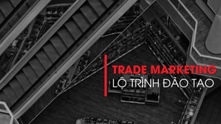 11/14/2017 16
TRADE MARKETING
LỘ TRÌNH ĐÀO TẠO
 
