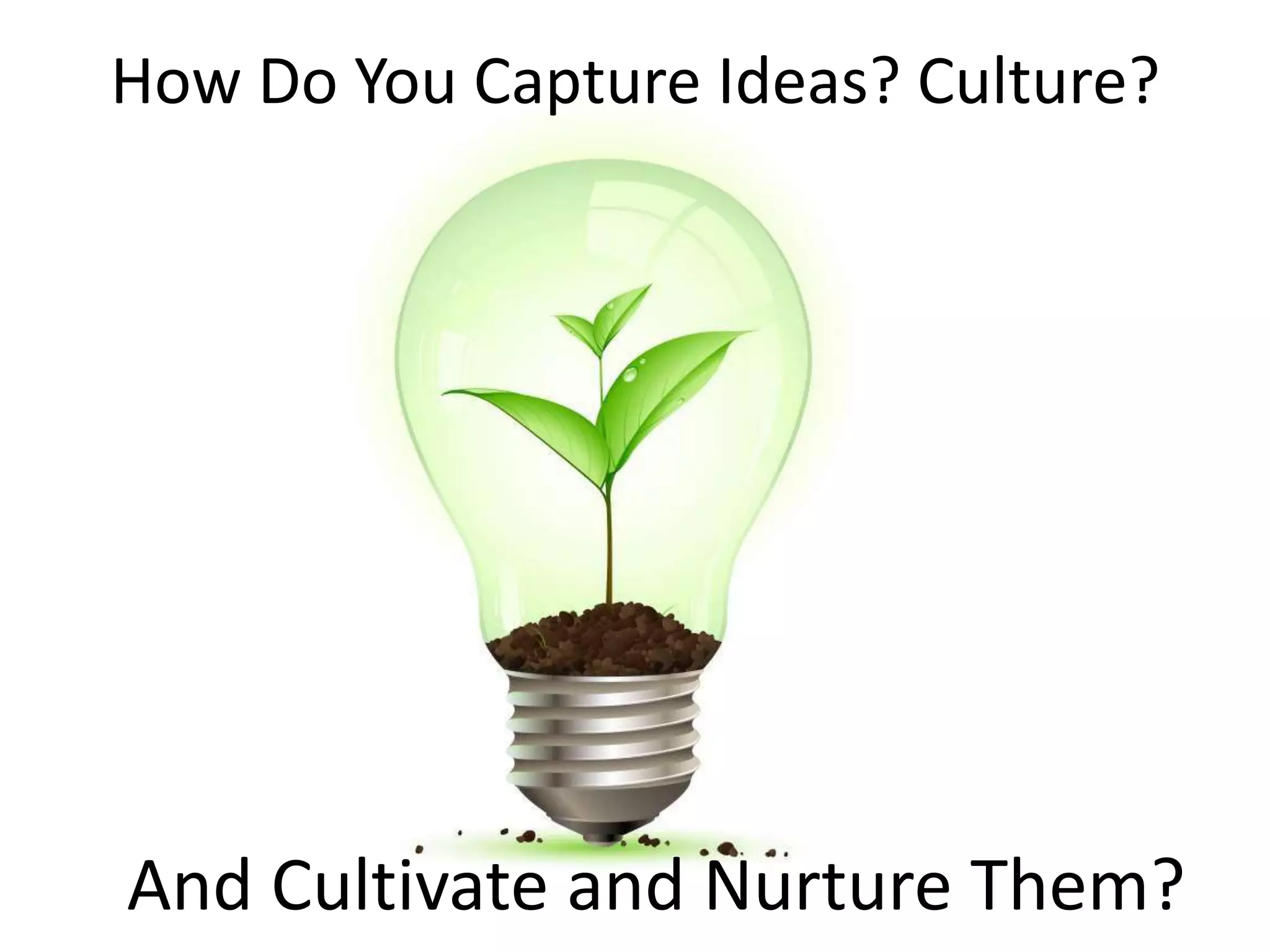 How Do You Capture Ideas? Culture?And Cultivate and Nurture Them?