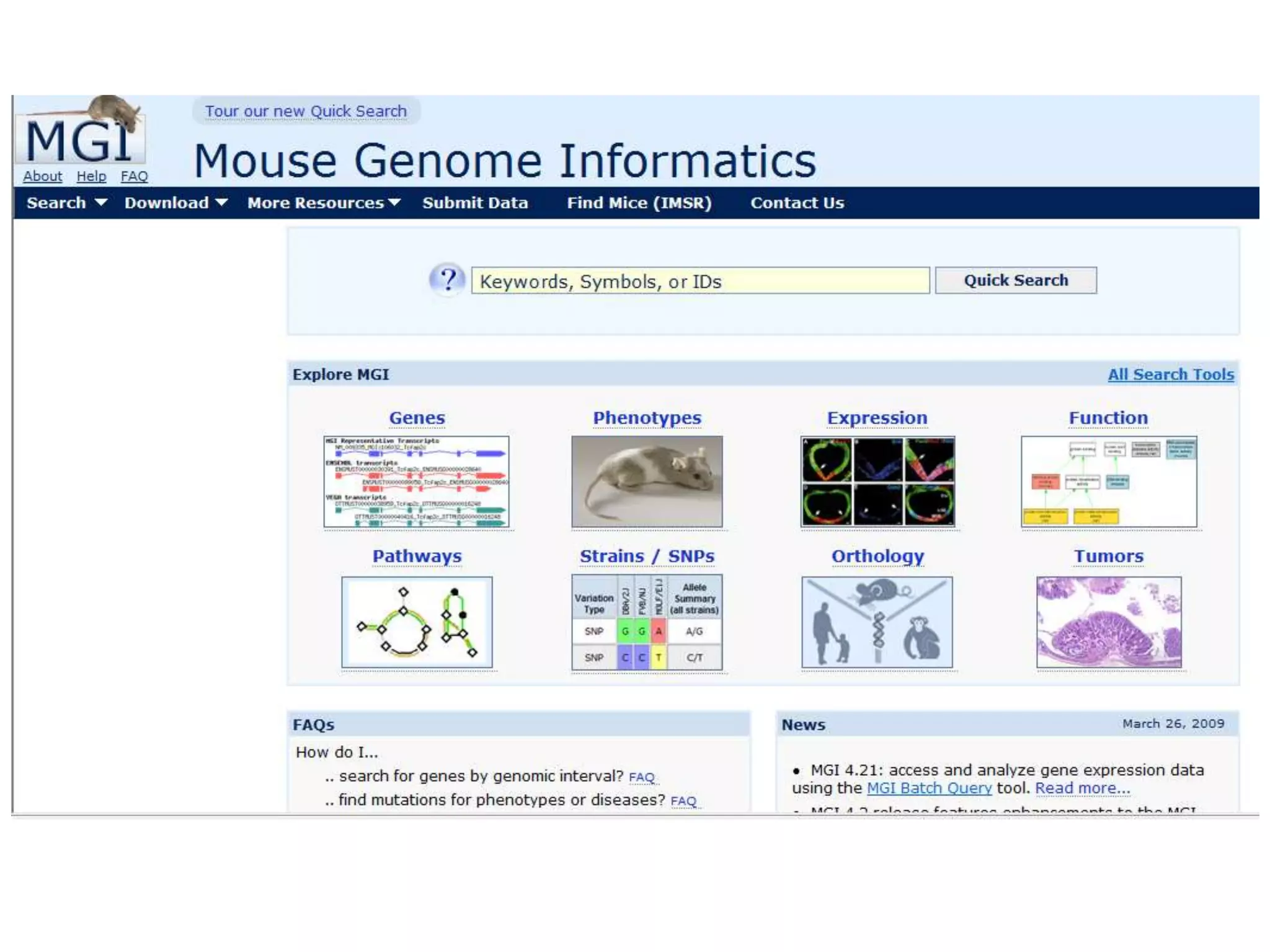 What Favours Rapid Adoption?Relative AdvantageCompatibilityComplexityTrialabilityObservabilityComfort